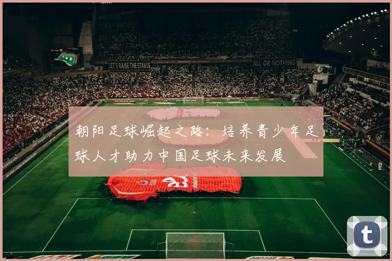 朝阳足球崛起之路：培养青少年足球人才助力中国足球未来发展
