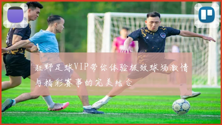 狂野足球VIP带你体验极致球场激情与精彩赛事的完美结合