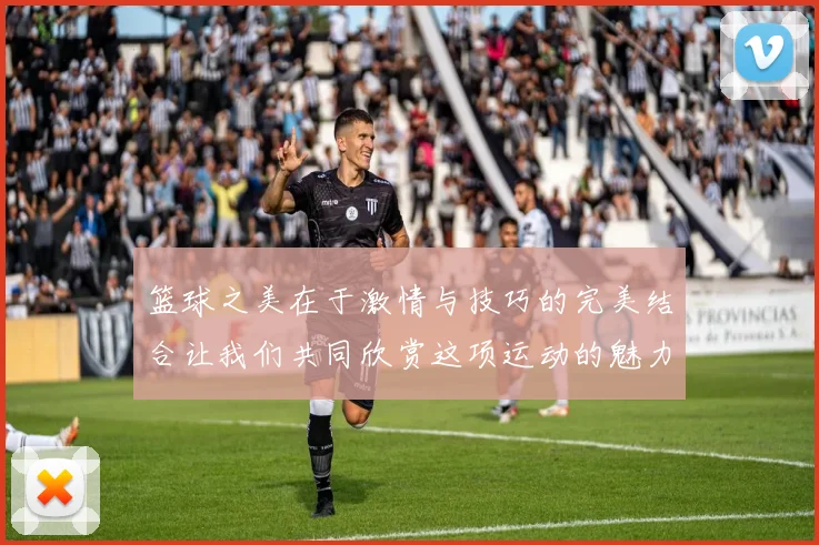 篮球之美在于激情与技巧的完美结合让我们共同欣赏这项运动的魅力与风采