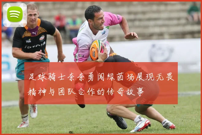 足球骑士奈奈勇闯绿茵场展现无畏精神与团队合作的传奇故事